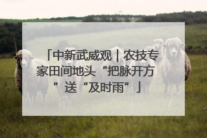 中新武威观｜农技专家田间地头“把脉开方”送“及时雨”