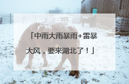 中雨大雨暴雨+雷暴大风，要来湖北了！