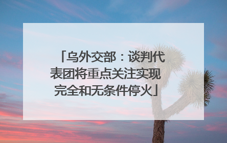 乌外交部：谈判代表团将重点关注实现完全和无条件停火