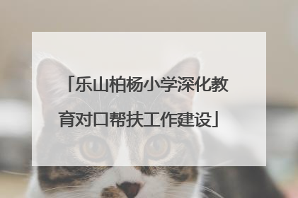 乐山柏杨小学深化教育对口帮扶工作建设