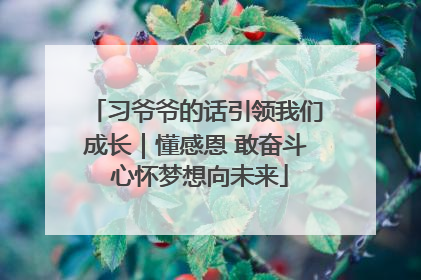 习爷爷的话引领我们成长｜懂感恩 敢奋斗 心怀梦想向未来