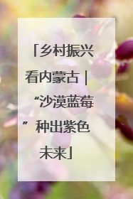 乡村振兴看内蒙古｜“沙漠蓝莓”种出紫色未来