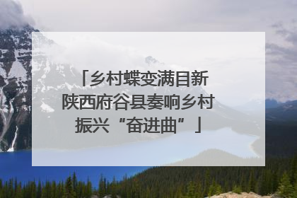 乡村蝶变满目新 陕西府谷县奏响乡村振兴“奋进曲”