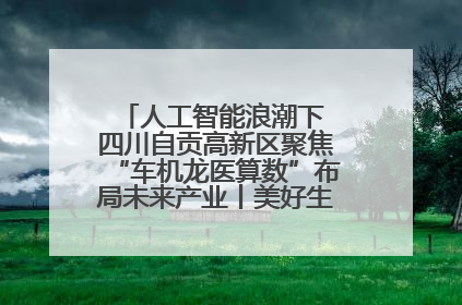 人工智能浪潮下 四川自贡高新区聚焦“车机龙医算数”布局未来产业丨美好生活有“盐”味