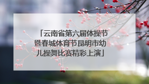 云南省第六届体操节暨春城体育节昆明市幼儿操舞比赛精彩上演