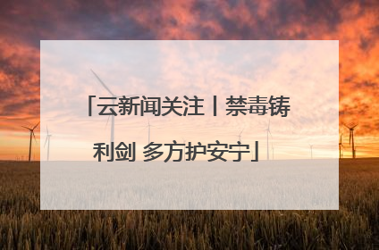 云新闻关注丨禁毒铸利剑 多方护安宁
