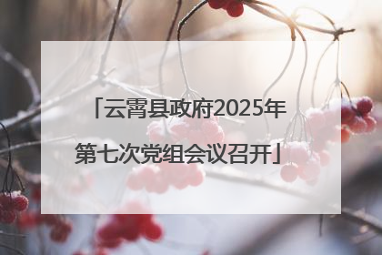 云霄县政府2025年第七次党组会议召开