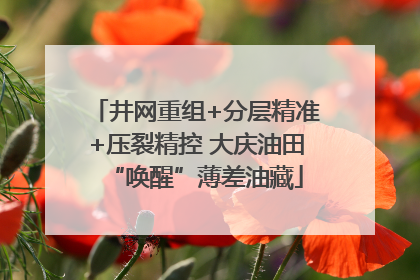 井网重组+分层精准+压裂精控 大庆油田“唤醒”薄差油藏