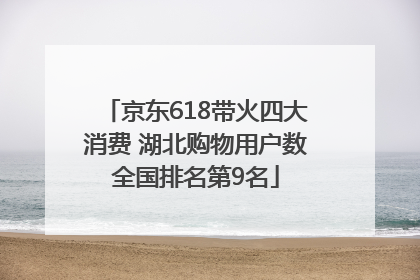 京东618带火四大消费 湖北购物用户数全国排名第9名