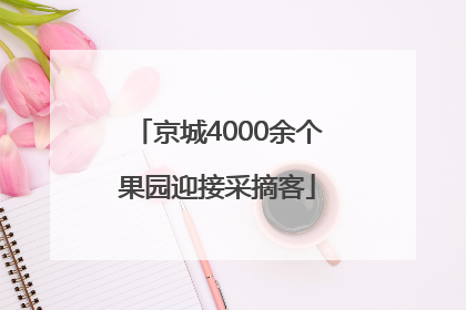 京城4000余个果园迎接采摘客