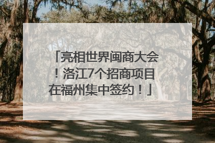 亮相世界闽商大会！洛江7个招商项目在福州集中签约！