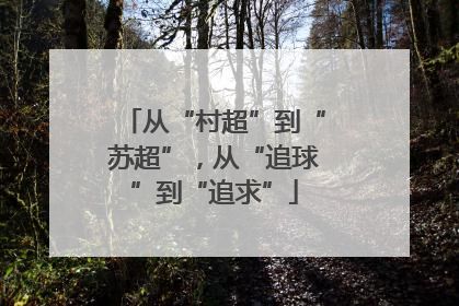 从“村超”到“苏超”，从“追球”到“追求”