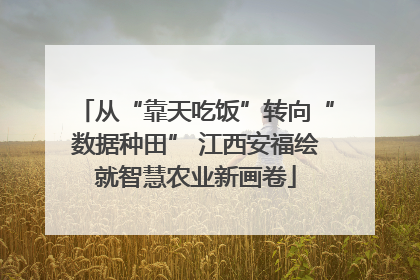 从“靠天吃饭”转向“数据种田” 江西安福绘就智慧农业新画卷