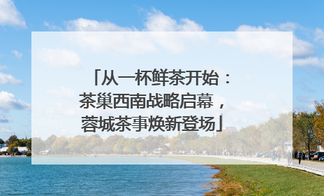 从一杯鲜茶开始：茶巢西南战略启幕，蓉城茶事焕新登场