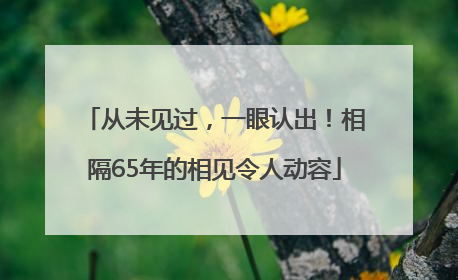 从未见过，一眼认出！相隔65年的相见令人动容