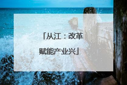 从江：改革赋能产业兴