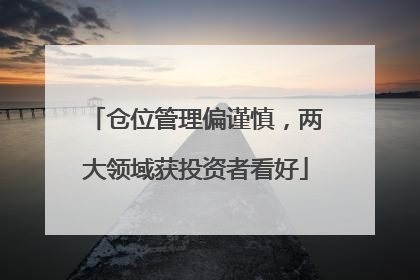 仓位管理偏谨慎，两大领域获投资者看好