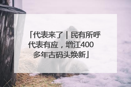 代表来了｜民有所呼代表有应，增江400多年古码头焕新