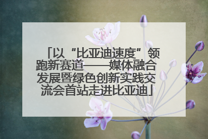 以“比亚迪速度”领跑新赛道——媒体融合发展暨绿色创新实践交流会首站走进比亚迪
