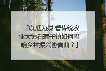 以瓜为媒 看传统农业大镇石莲子镇如何唱响乡村振兴协奏曲？