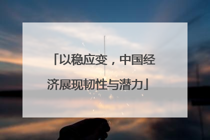 以稳应变，中国经济展现韧性与潜力