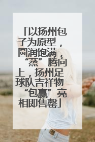 以扬州包子为原型，圆润饱满，“蒸”腾向上，扬州足球队吉祥物“包赢”亮相即售罄