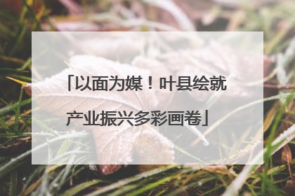 以面为媒！叶县绘就产业振兴多彩画卷
