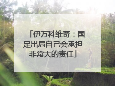 伊万科维奇：国足出局自己会承担非常大的责任