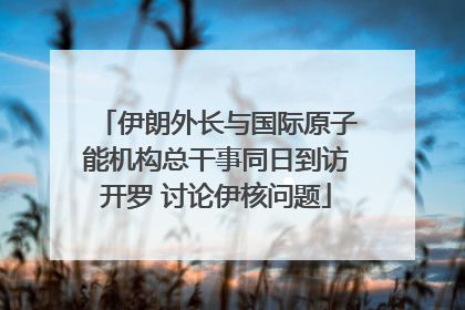 伊朗外长与国际原子能机构总干事同日到访开罗 讨论伊核问题
