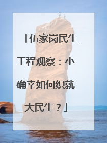 伍家岗民生工程观察：小确幸如何织就大民生？