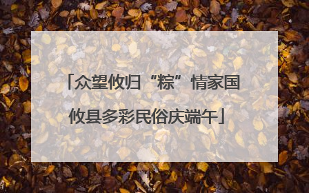众望攸归“粽”情家国 攸县多彩民俗庆端午