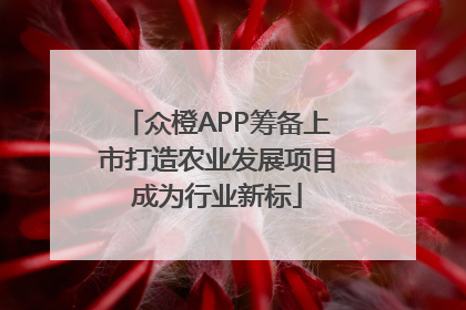 众橙APP筹备上市打造农业发展项目成为行业新标