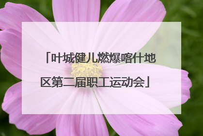 叶城健儿燃爆喀什地区第二届职工运动会