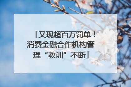 又现超百万罚单！消费金融合作机构管理“教训”不断