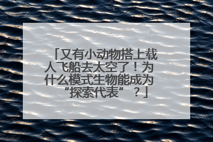 又有小动物搭上载人飞船去太空了！为什么模式生物能成为“探索代表”？