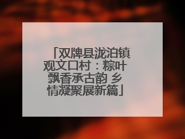 双牌县泷泊镇观文口村：粽叶飘香承古韵 乡情凝聚展新篇