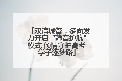 双清城管：多向发力开启“静音护航”模式 倾情守护高考学子逐梦路