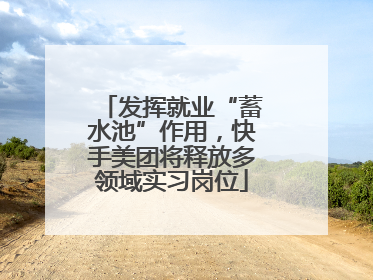 发挥就业“蓄水池”作用,快手美团将释放多领域实习岗位
