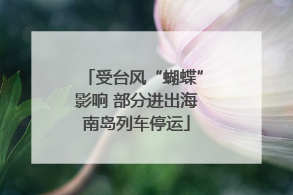 受台风“蝴蝶”影响 部分进出海南岛列车停运