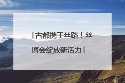 古都携手丝路！丝博会绽放新活力