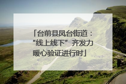 台前县凤台街道：“线上线下”齐发力 暖心验证进行时