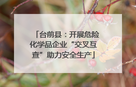 台前县：开展危险化学品企业“交叉互查”助力安全生产