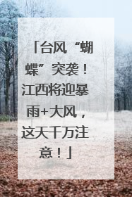台风“蝴蝶”突袭！江西将迎暴雨+大风，这天千万注意！