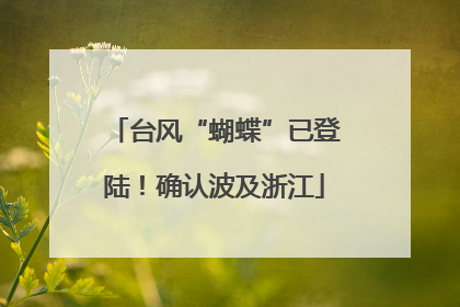 台风“蝴蝶”已登陆！确认波及浙江