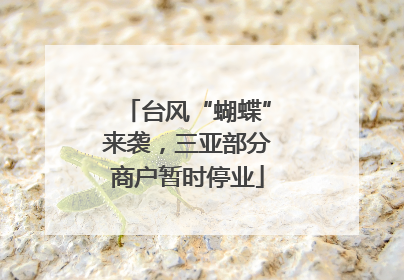 台风“蝴蝶”来袭，三亚部分商户暂时停业