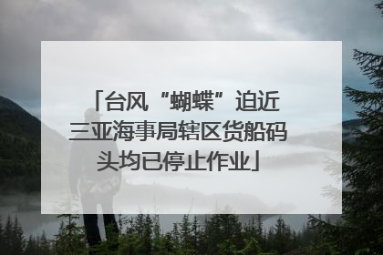 台风“蝴蝶”迫近 三亚海事局辖区货船码头均已停止作业