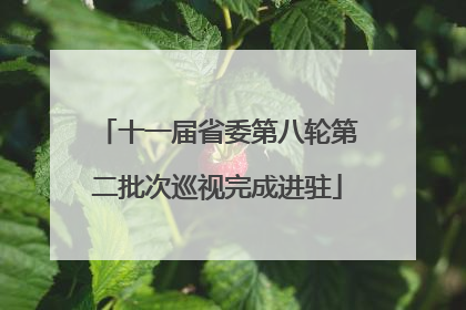 十一届省委第八轮第二批次巡视完成进驻