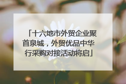 十六地市外贸企业聚首泉城，外贸优品中华行采购对接活动将启