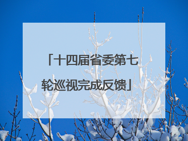 十四届省委第七轮巡视完成反馈