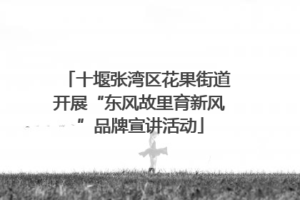 十堰张湾区花果街道开展“东风故里育新风”品牌宣讲活动